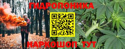 spice Краснознаменск