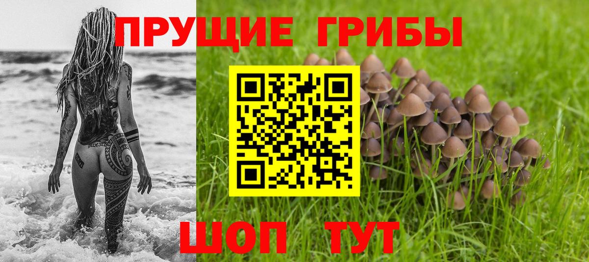 Галлюциногенные грибы MAGIC MUSHROOMS  Галлюциногенные грибы прущие грибы  Егорьевск  Вход с VPN 